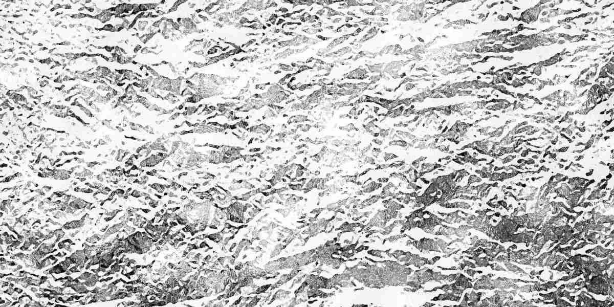 The Rise of International Private Jet Charter Companies: A Brand new Period In Luxury Journey