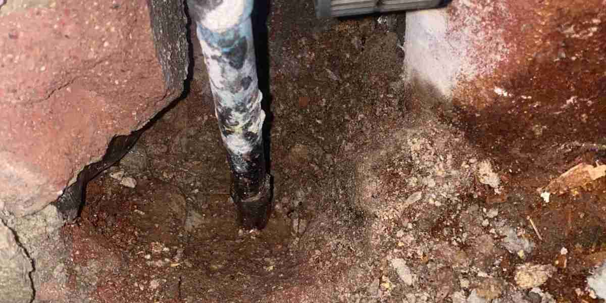 Protect Your Home with Expert Termite Detection and Prevention Services