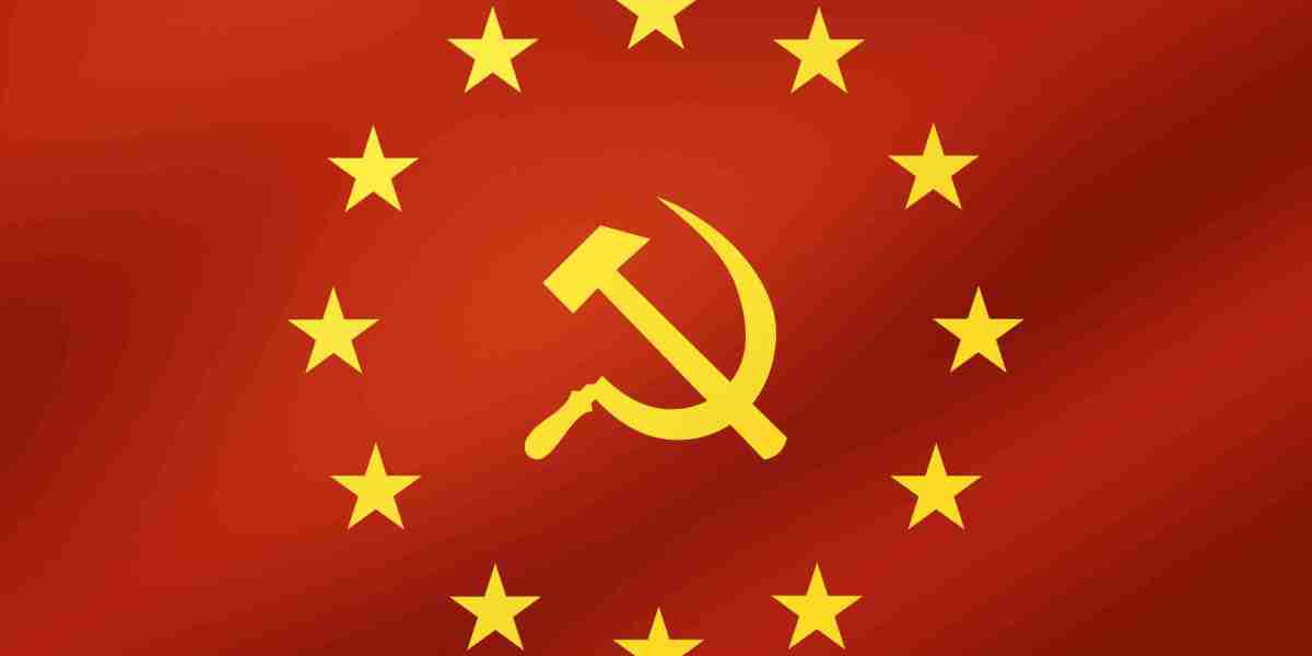 Understanding $100 No Credit Check Loans: Pros, Cons, and Alternate Options