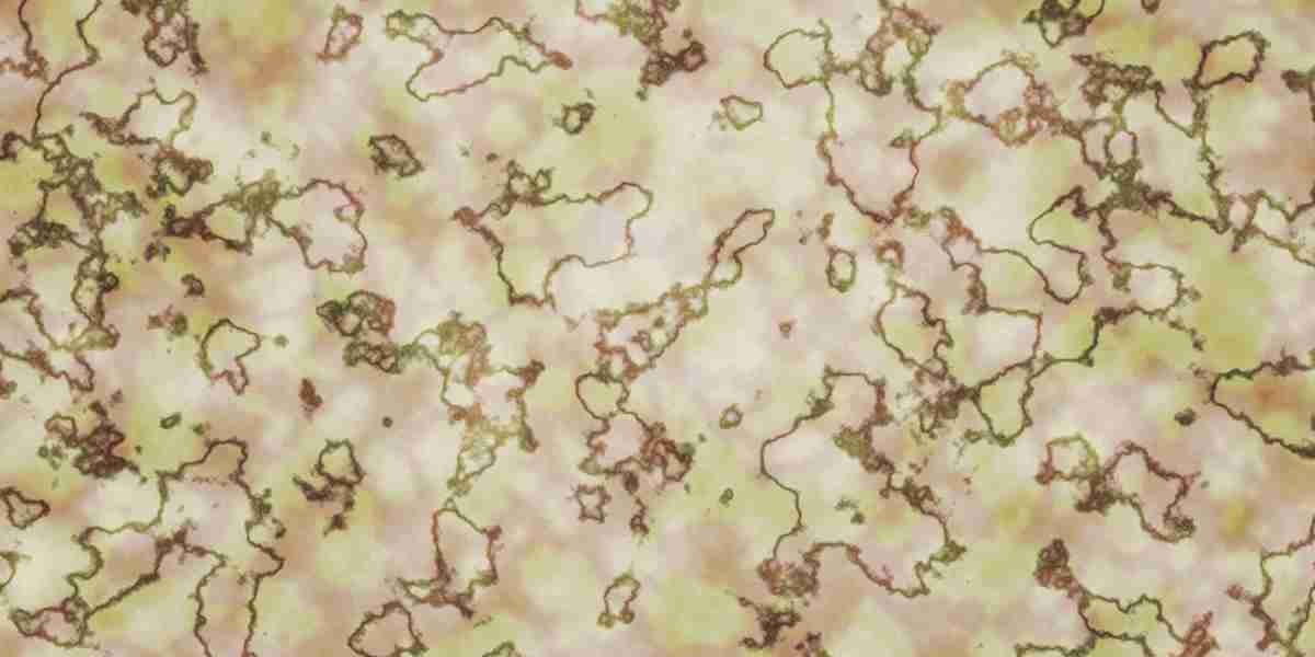 Provigil For Sale Online: A Comprehensive Research Report