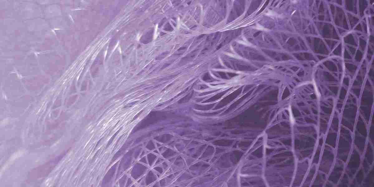 【LIVE】 Live Cam Helsinki Finland