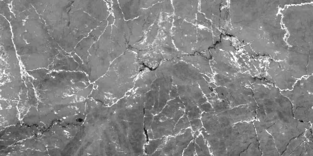 Selecting the Best Gold IRA Company: A Comprehensive Guide To Secure Your Retirement