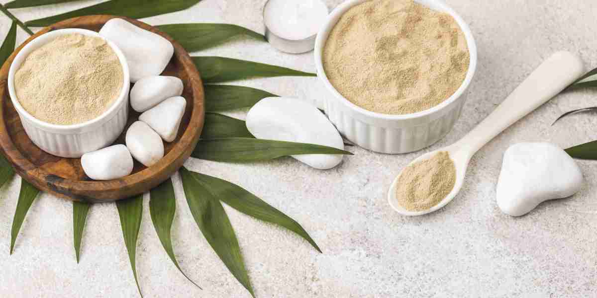 The Complete Guide to Choosing Vegan Protein Powder and Thyroid Supplements for Better Wellness