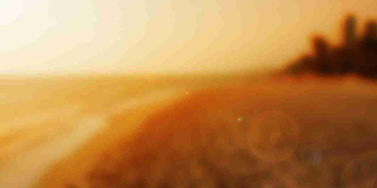 The Allure of 24K Gold: An Observational Study On Consumer Habits