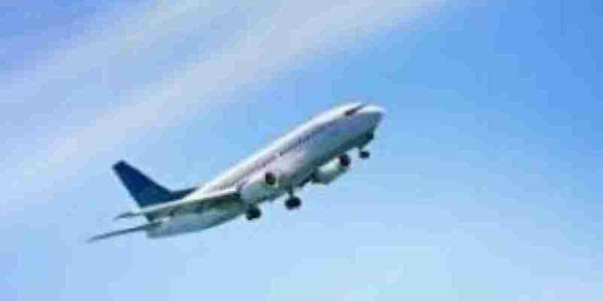 Experience Better Travel with Flighta