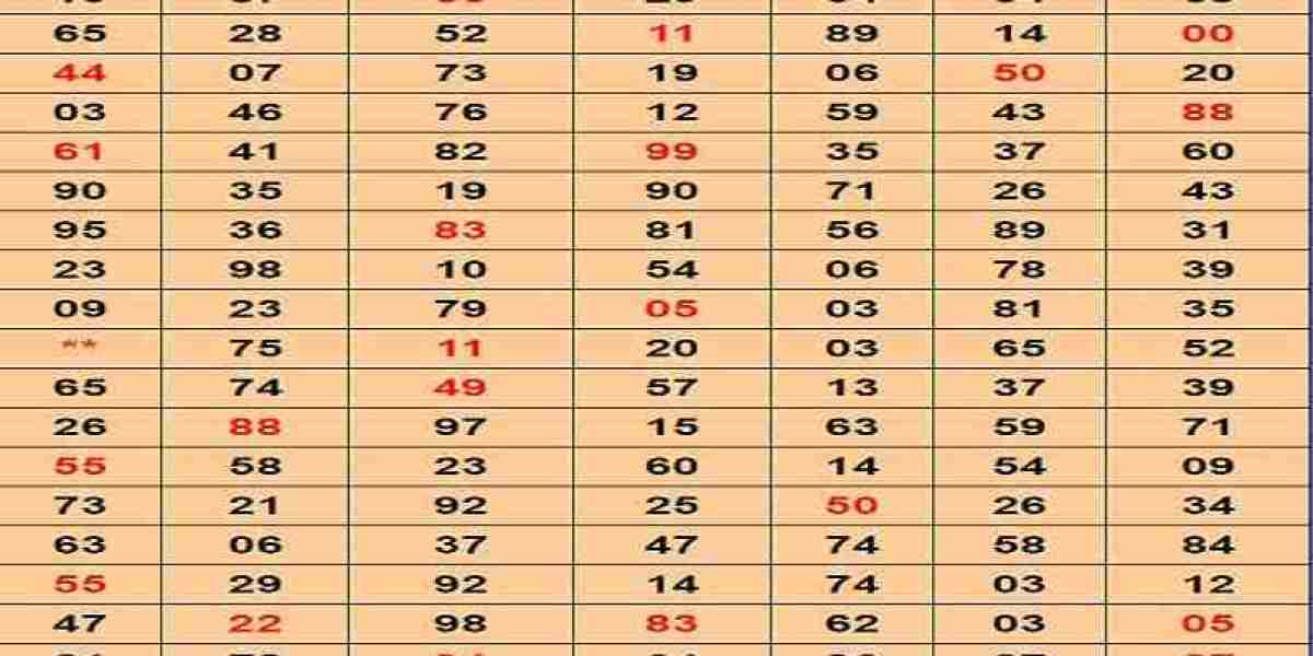 Kolkata Fota Fota: Exploring the Fast-Paced Digital Trend Captivating Daily Users