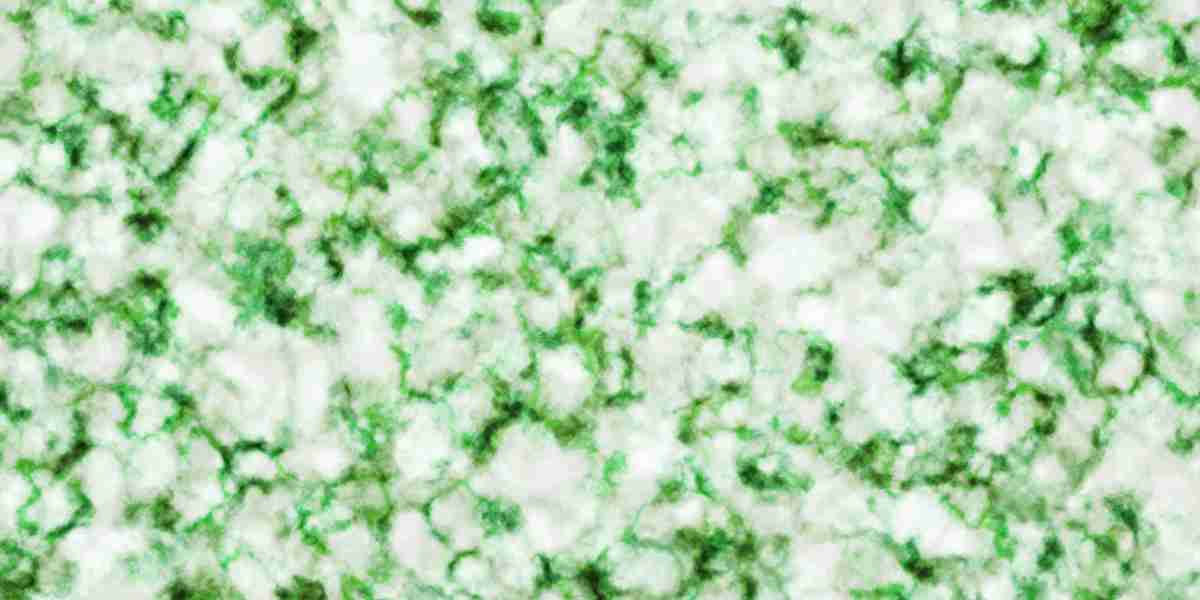 Exploring The Best Gold IRA Accounts: A Comprehensive Information