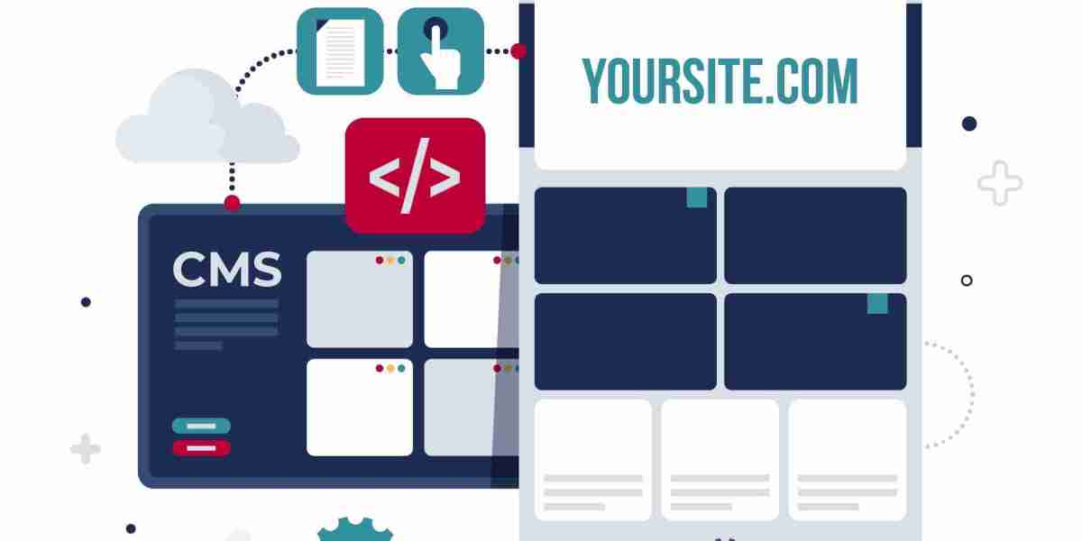 Expert Web Portal Software Development | Dignizant