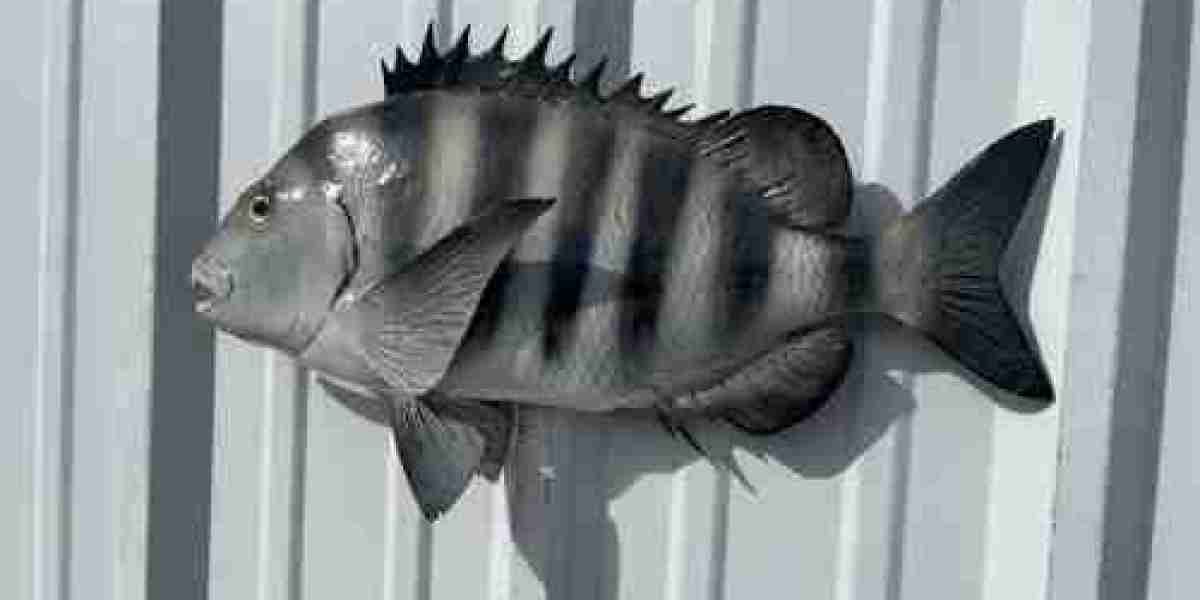 Stunning In-Stock Fish Mounts: Your Guide to Mounted Fish for Sale