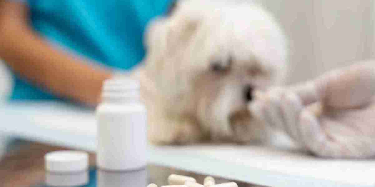 Heartworm Protection For Dogs