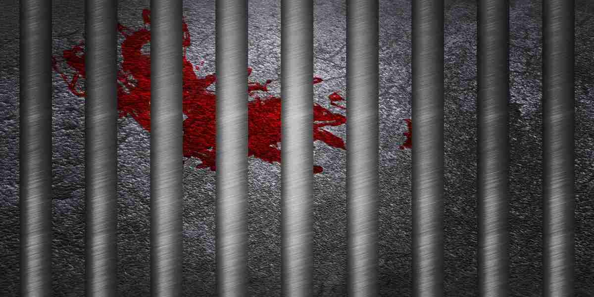 Modern Academic Products Reworking Learning Experiences