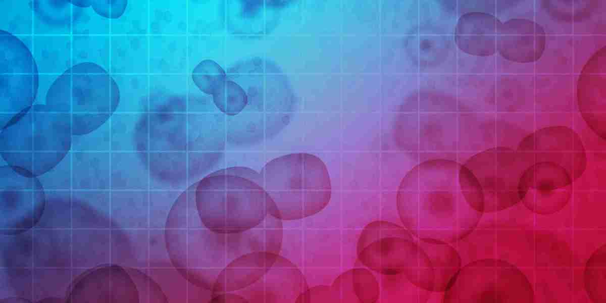 Exploring United Pharmacy Modafinil: A Comprehensive Overview