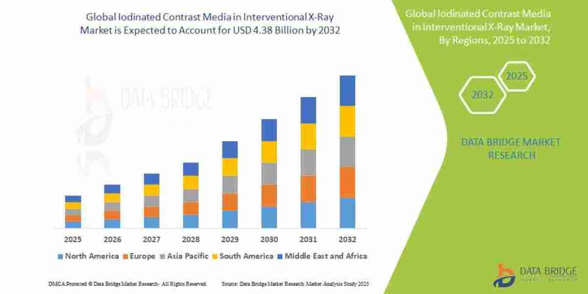 Iodinated Contrast Media in Interventional X-Ray Market Segmentation & Forecast : Share, Size, and Growth Insights
