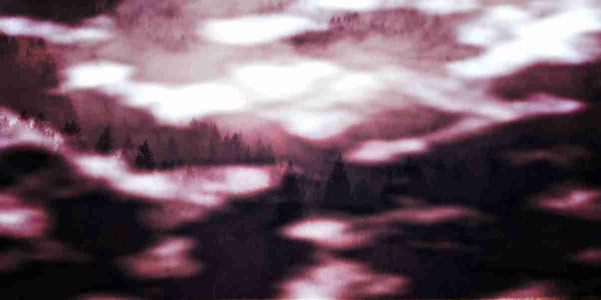 The Rise Of Charter Private Jets: An Observational Study