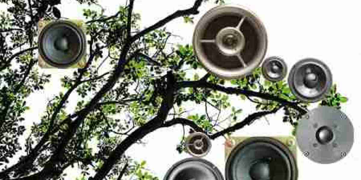 Play Top Slots, Table Games with Exciting Bonuses