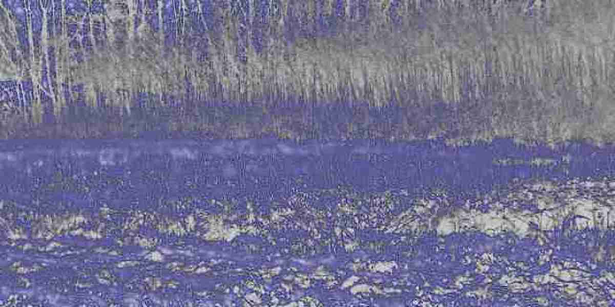 Best Online Casino Australia 2025 Top Australian Online Casinos