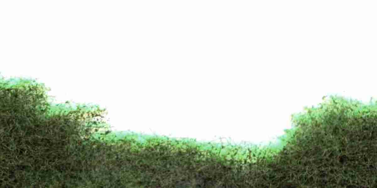 Best Plinko Gambling Sites List of Plinko Casinos