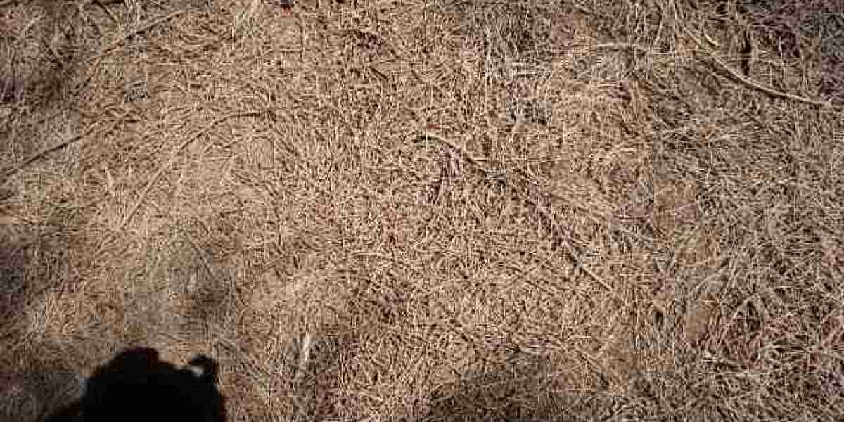 Hotel & Resort Accommodations Darwin, NT