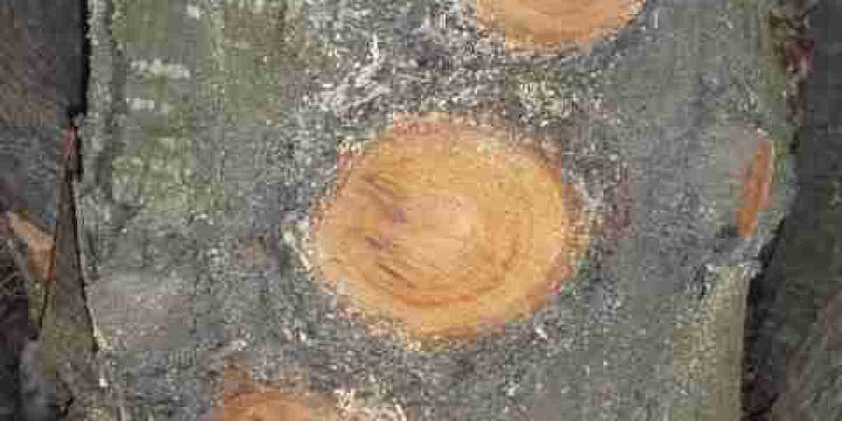 15 Best Online Casinos Australia 2025 Real Money Casino Sites