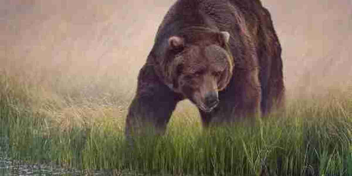 Xyz089’s Official Bio: Fragments of a Live Dream