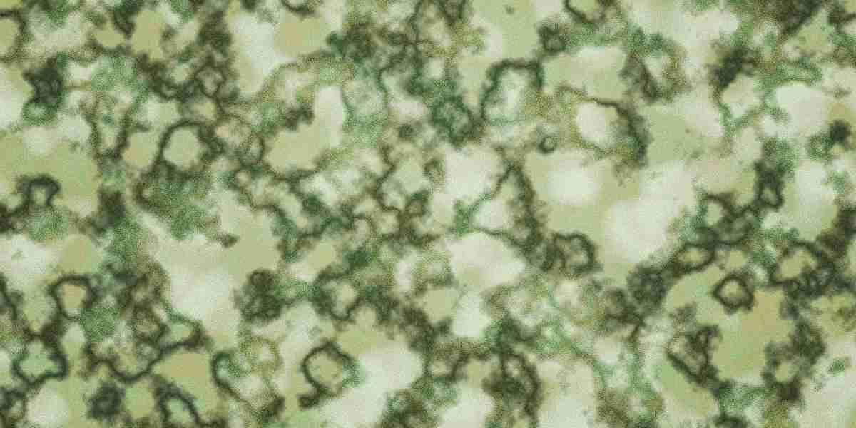 Understanding Personal Loans for Bad Credit in Connecticut