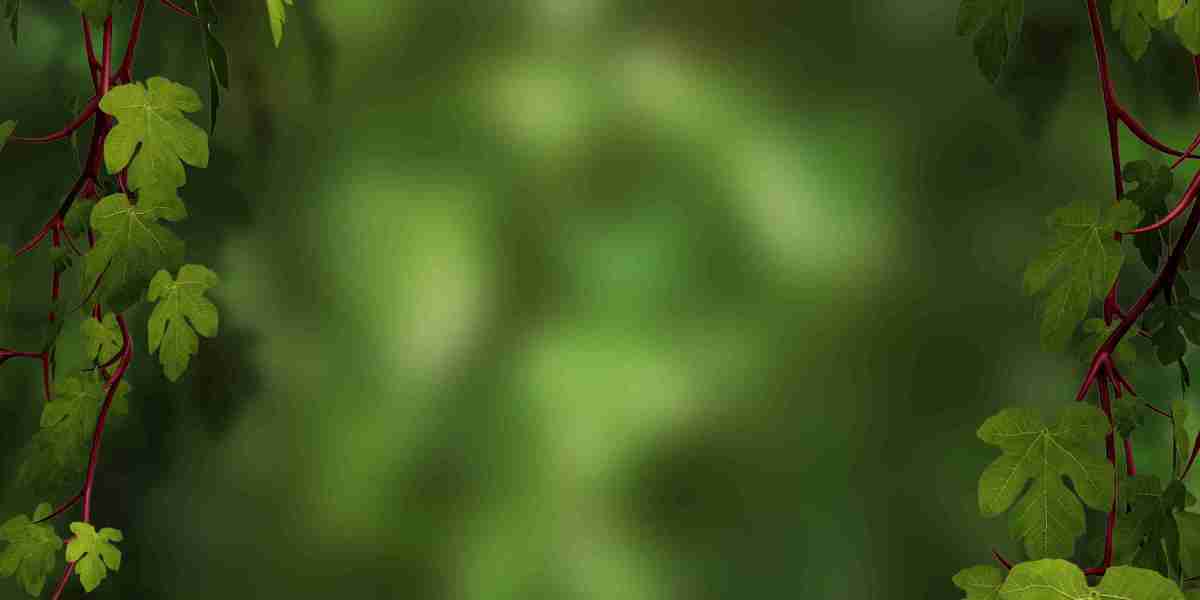 The Rise of IRA Gold Accounts: A Secure Funding for the Longer Term