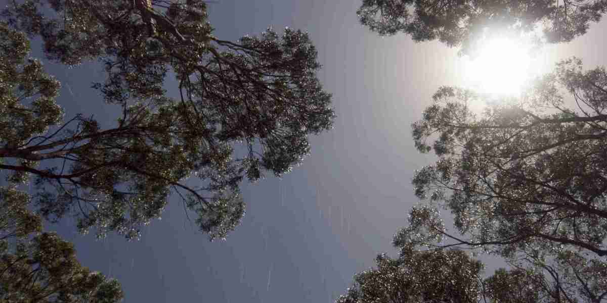 Access Your Online Account