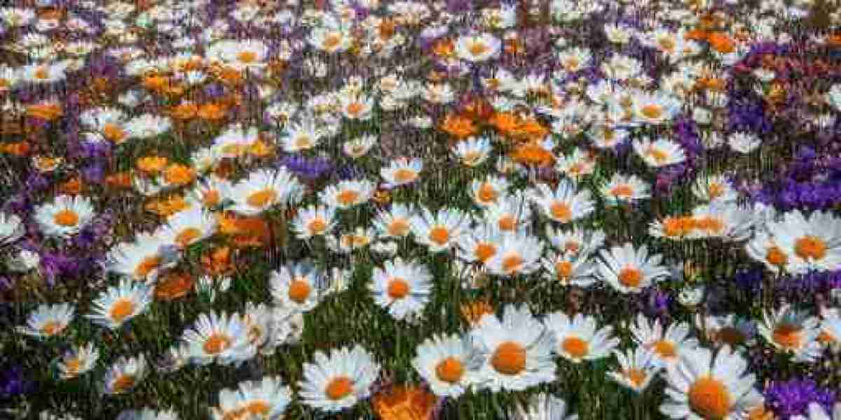 Tampa Bay Buccaneers Draft Profile: Benefit, Darrell Taylor