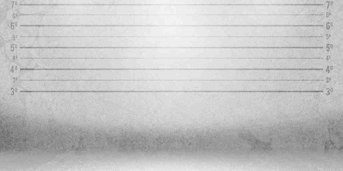 Private Jet Charter Companies: An In-Depth Study