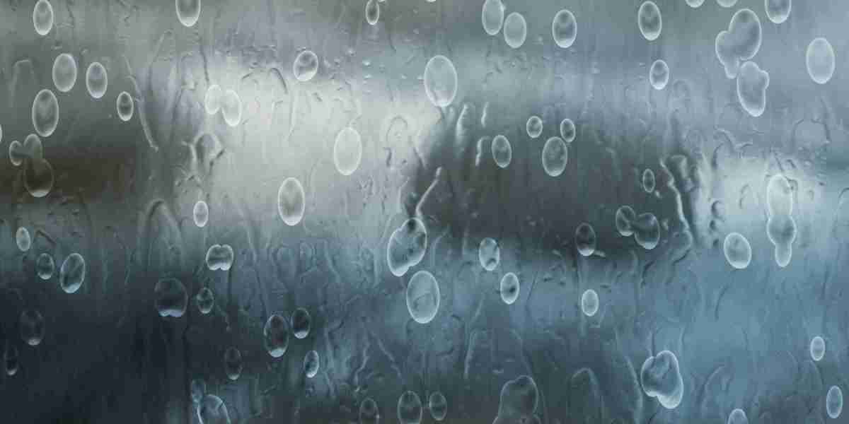 The Best Gold Coins To Buy: A Complete Guide