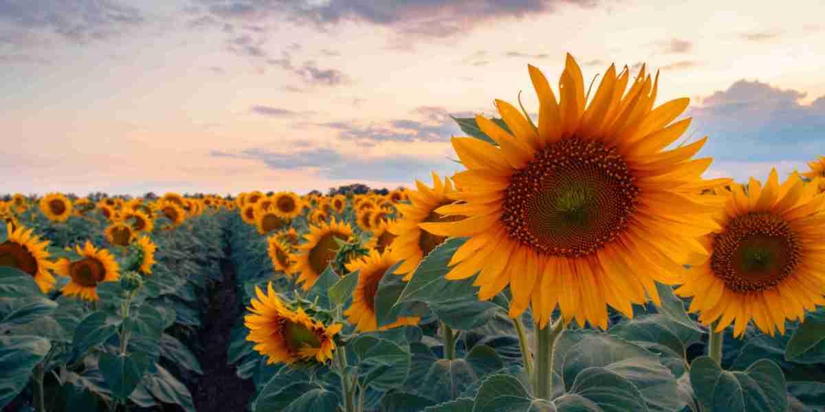 How to use Armourer's Scrap to build wealth early in a new league.