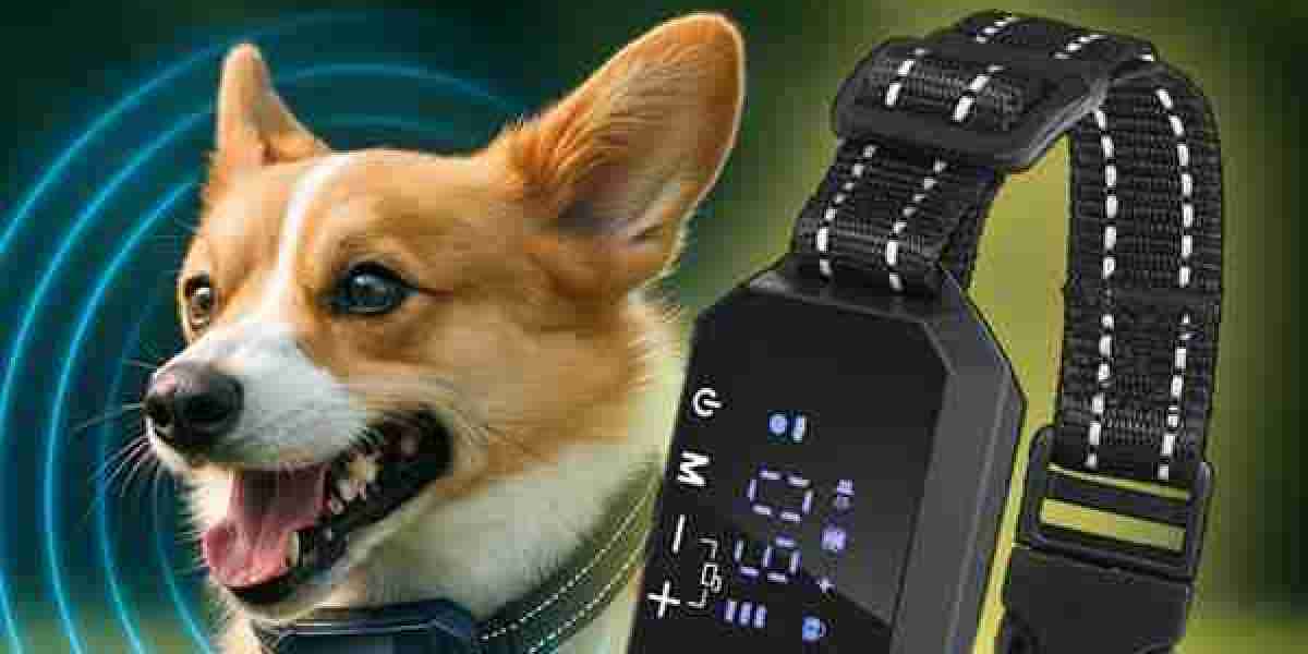 Furthrive GPS Tracker – Create Wireless Safety Zones Anywhere for Your Pet