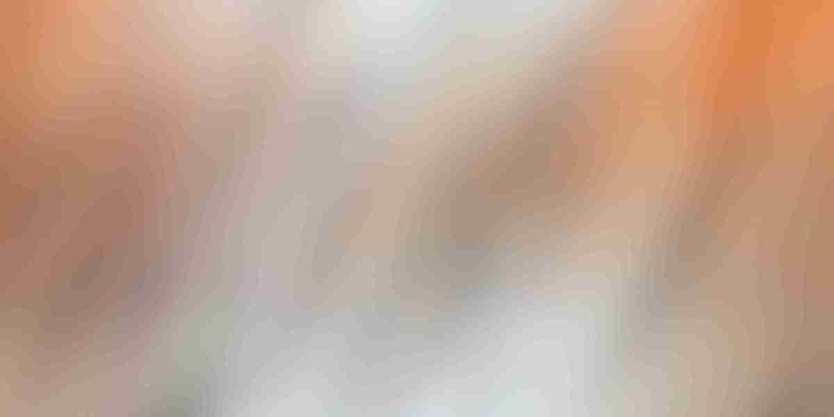 Comprehensive Research Report On Small Private Jet Charter Companies