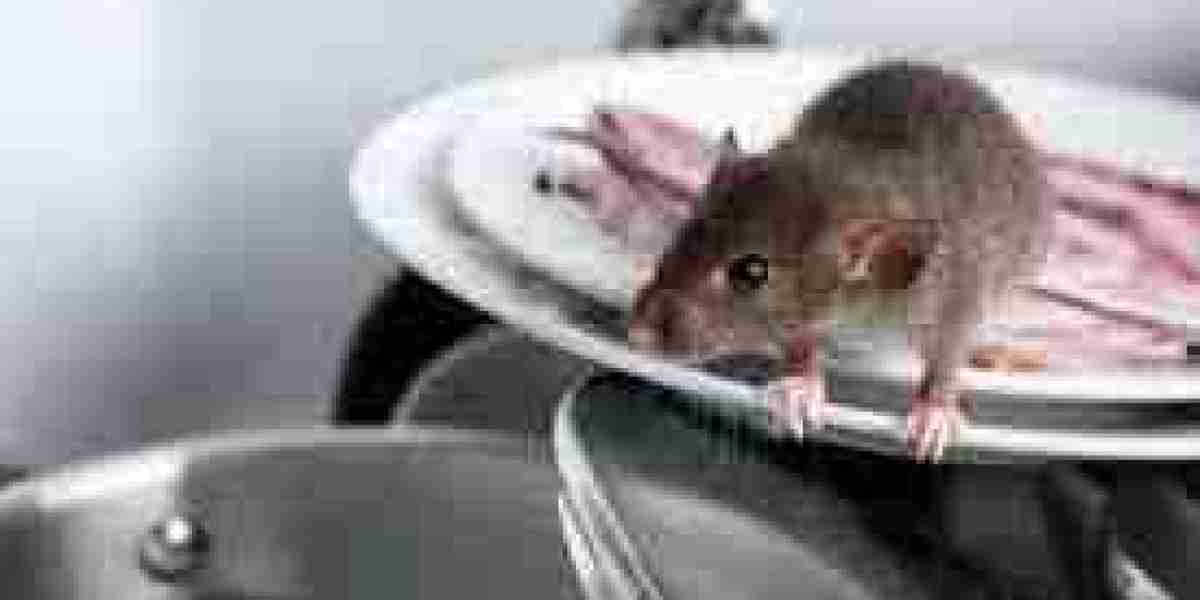 My Pest Pros: Trusted Experts in Pest Control Services