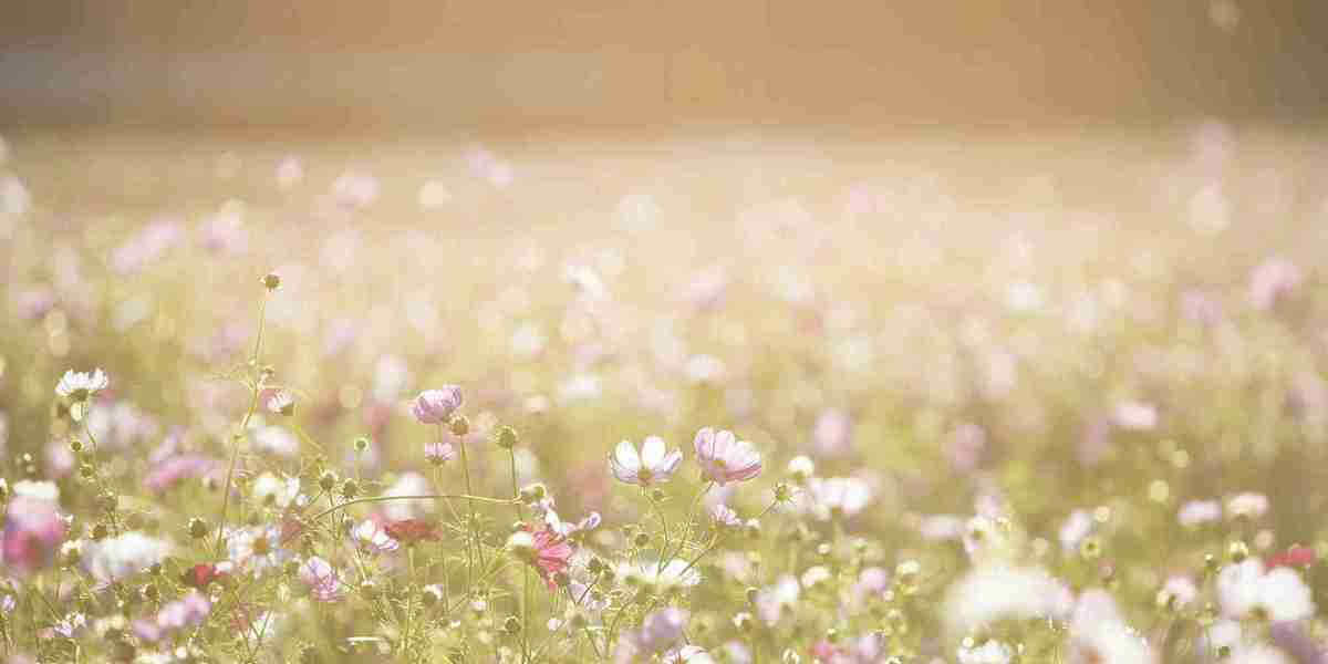 Quick trading tips for Petition Splinter x 50 recommended by u4gm players