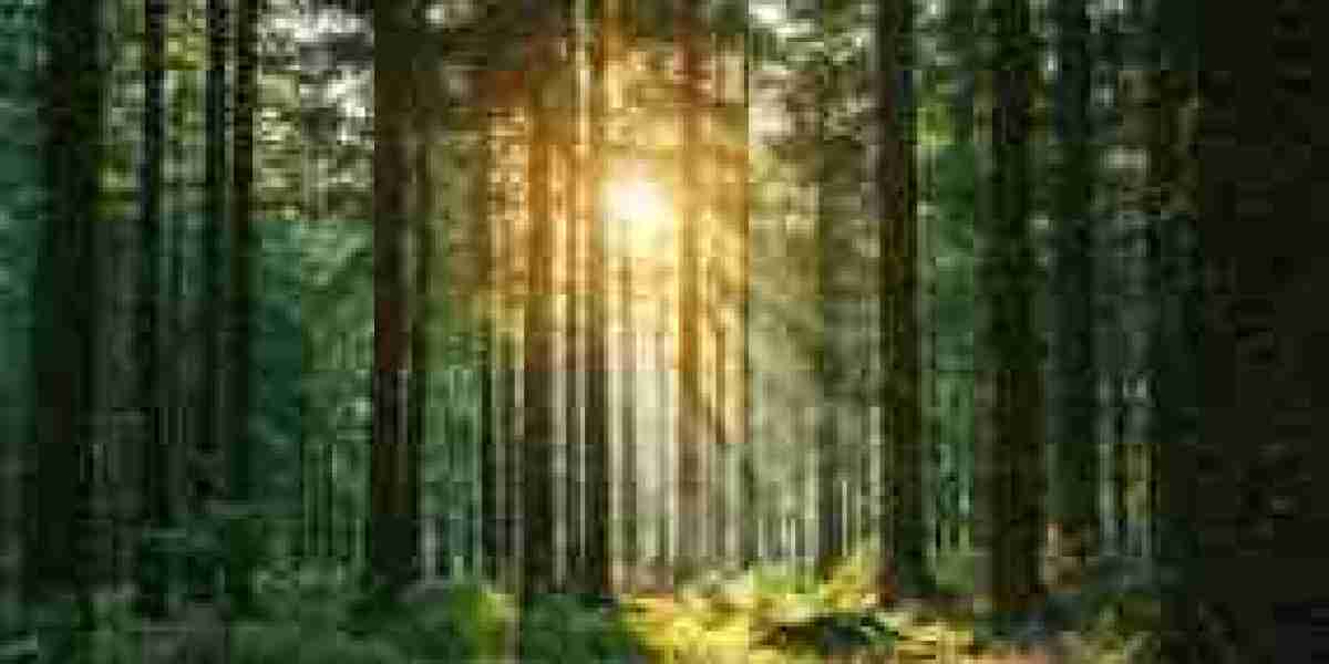 Building Sustainable Habits for a Balanced and Productive Life