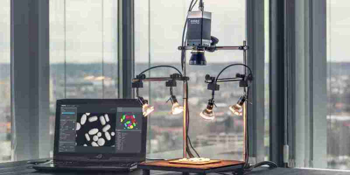 Hyperspectral Imaging Systems (HSI) Market Size, Trends and Trends 2025-2033