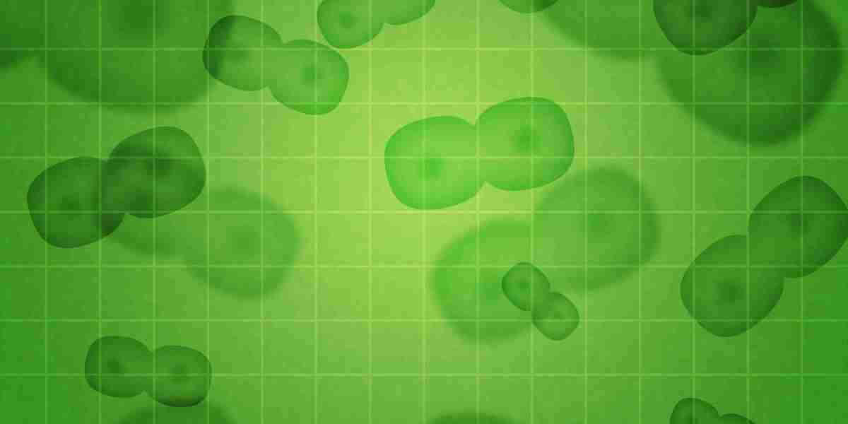 Where to Buy Gold: A Comprehensive Guide