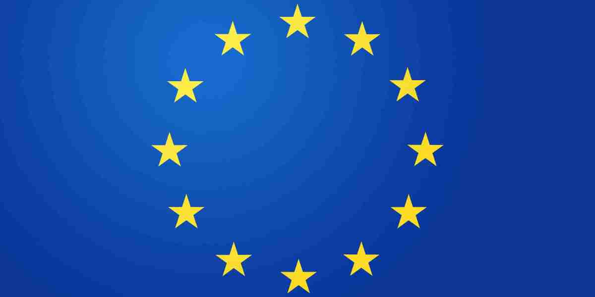 Top Private Jet Companies: A Comprehensive Study