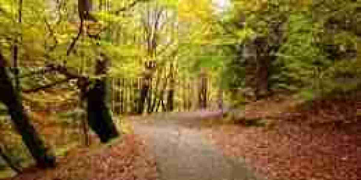 The Art of Slow Travel: Experiencing Places With Depth, Meaning, and Mindfulness