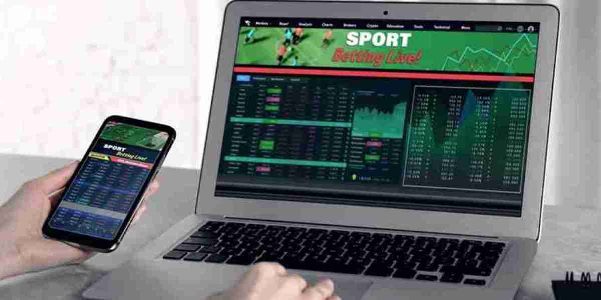 신중한 선택을 위한 가이드, 카지노 사이트 추천 정보 정리