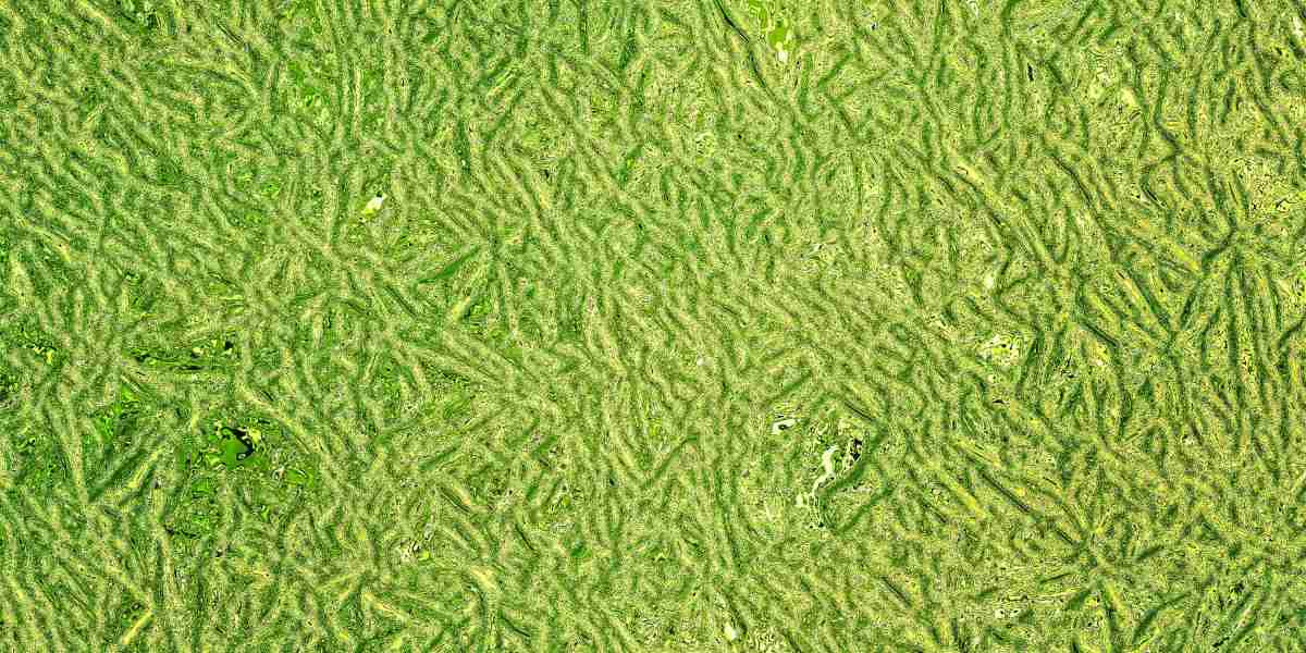 Top Gold IRA Companies: A Comprehensive Guide to Secure Your Retirement