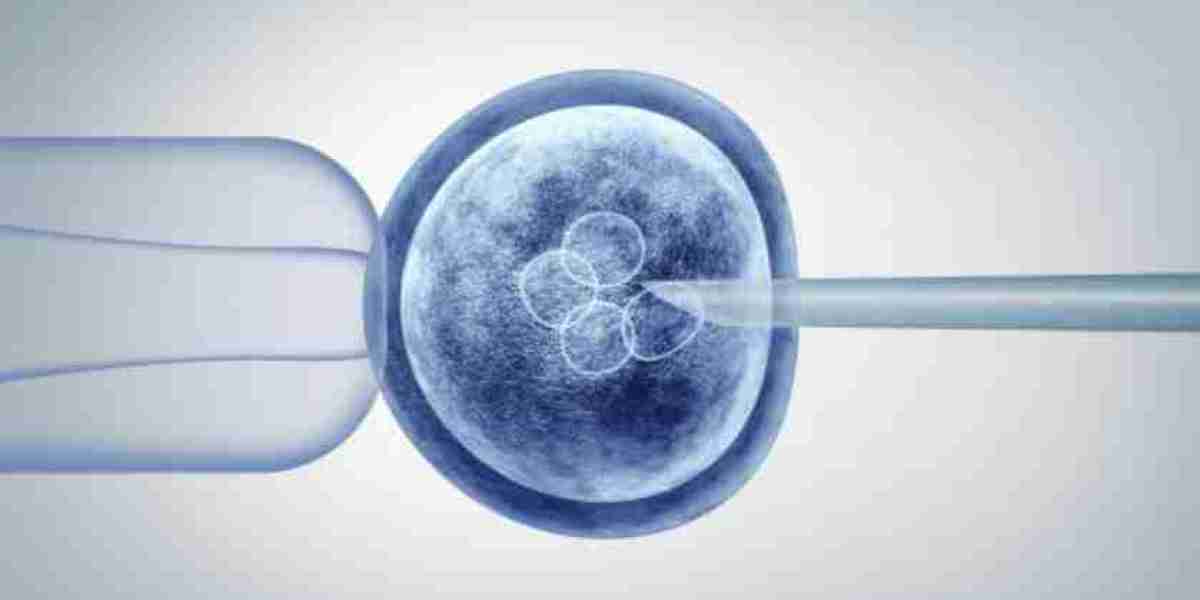 Stem Cells Treatment in Dubai: Unlocking the Power of Regenerative Medicine