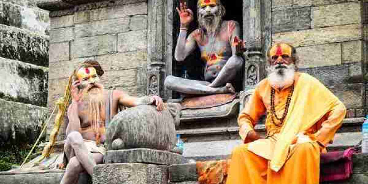 Luxury North India Tours: A Royal Journey Through Heritage and Grandeur