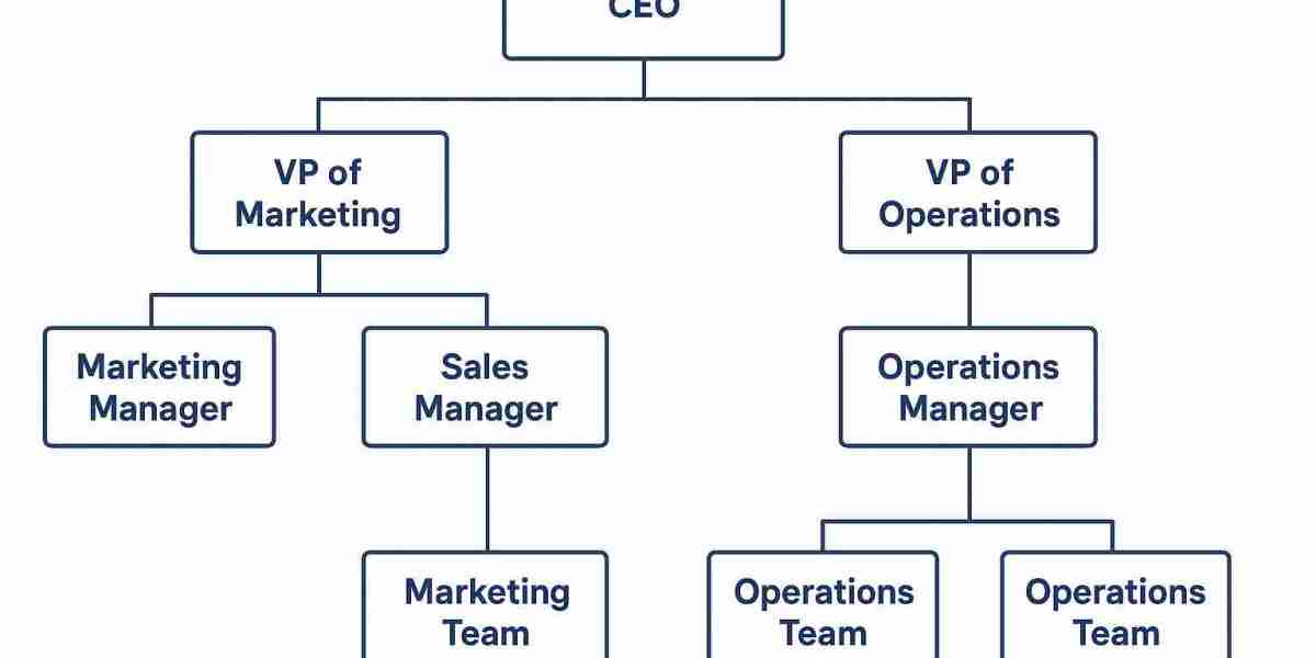 Understanding Company Hierarchy: Structure, Strategy, and Why It Matters