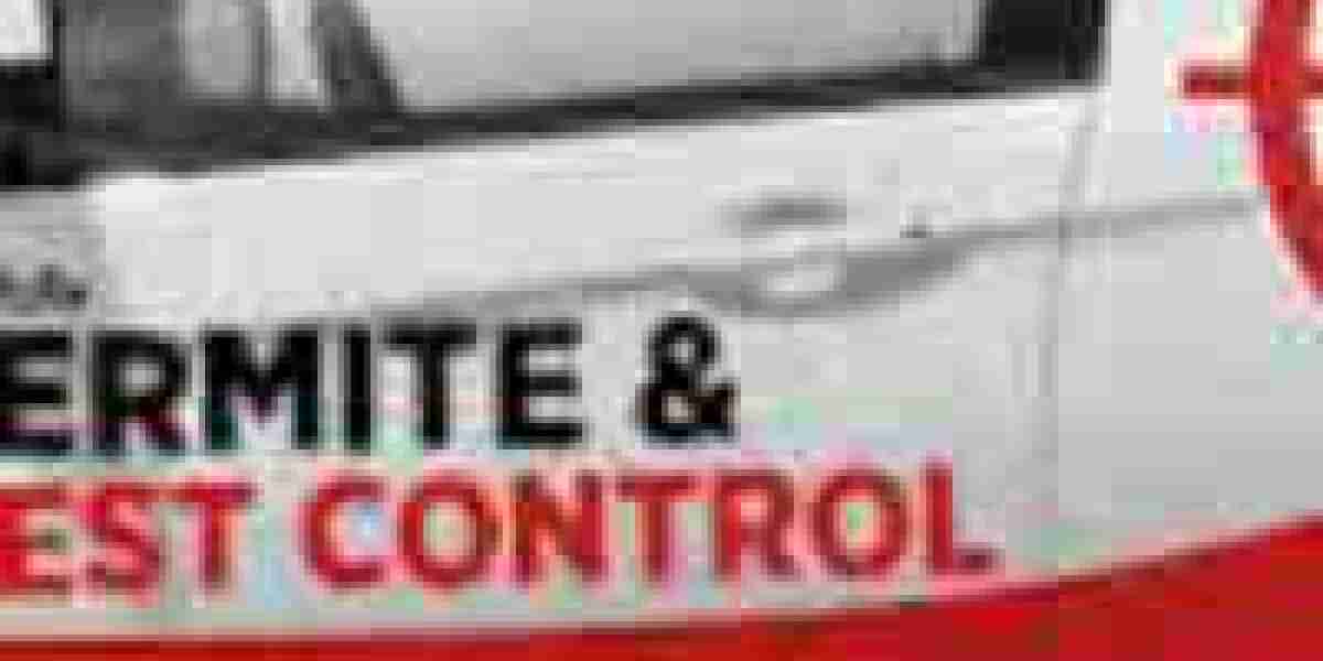 Pest Control Edinburg TX: Effective Solutions for Homes and Businesses