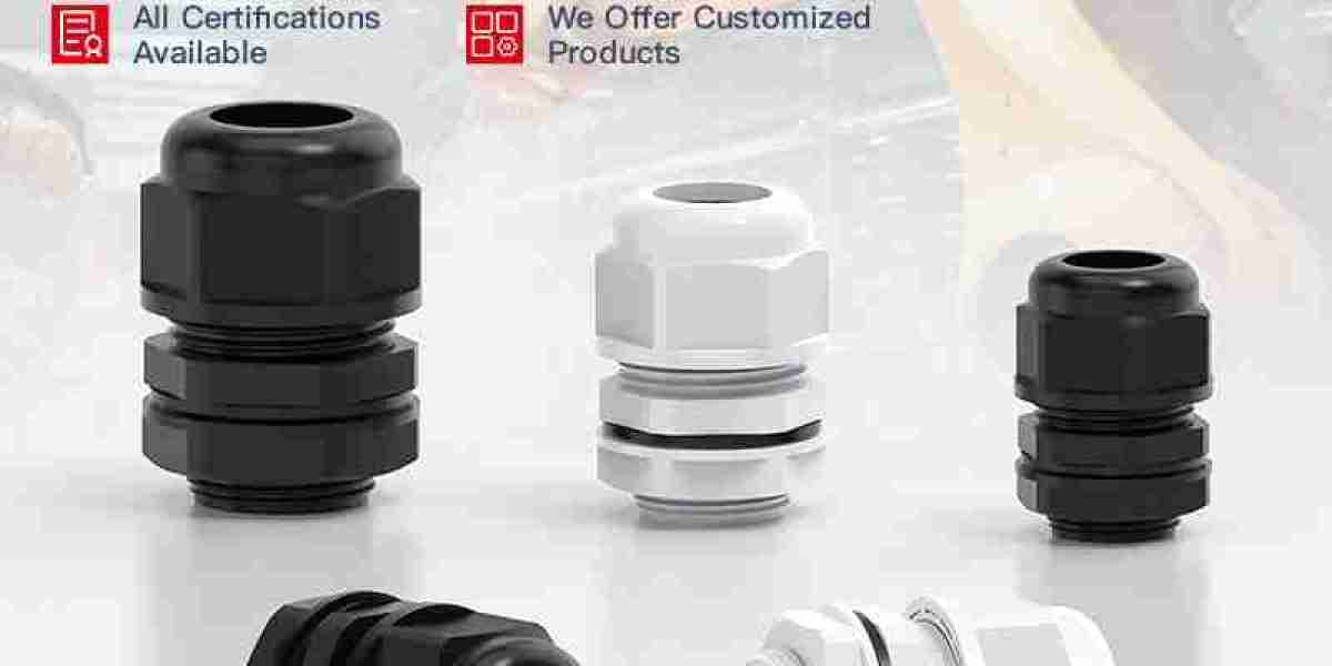 Industrial Ex Proof Cable Gland Designed for Safe and Stable Electrical Connections