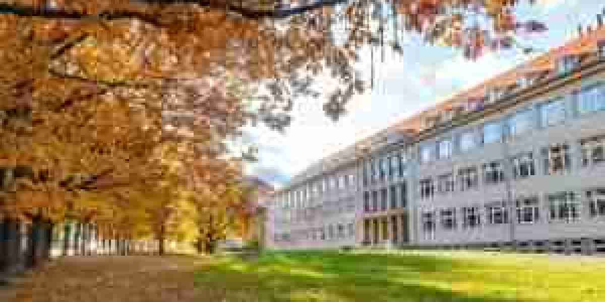 Social Work Theories