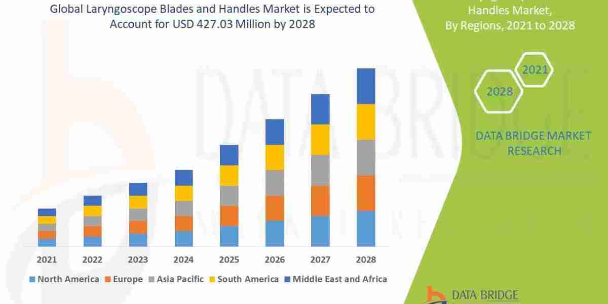 Laryngoscope Blades and Handles Market Insights, Growth and Forecast 2028