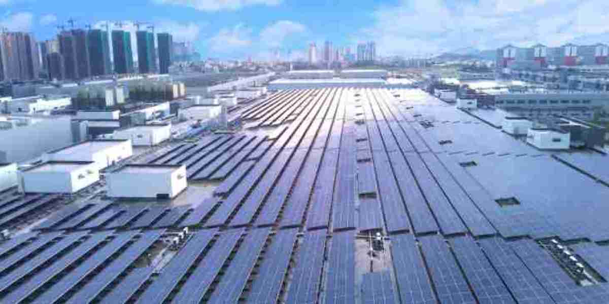 What factors affect the 620w dealer of longi solar panels?